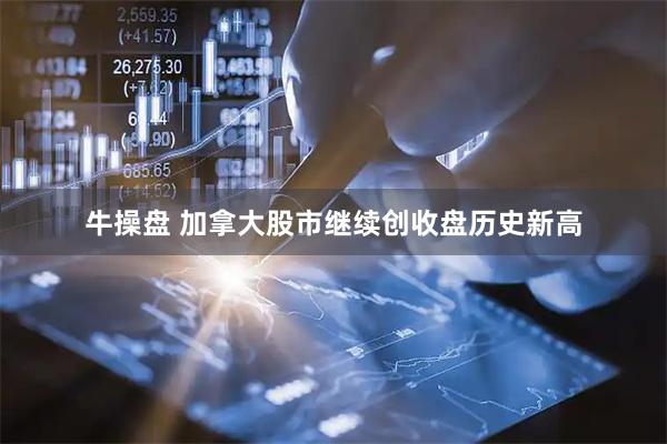 牛操盘 加拿大股市继续创收盘历史新高