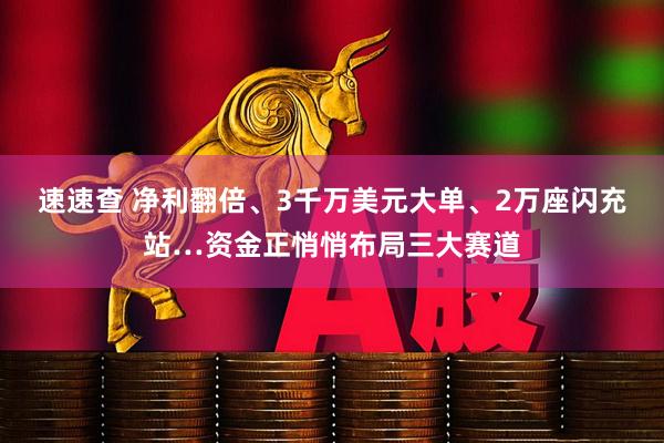 速速查 净利翻倍、3千万美元大单、2万座闪充站…资金正悄悄布局三大赛道