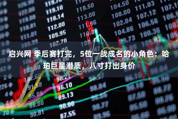 启兴网 季后赛打完，5位一战成名的小角色：哈珀巨星潜质，八寸打出身价