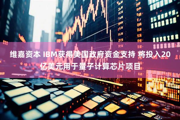 维嘉资本 IBM获得美国政府资金支持 将投入20亿美元用于量子计算芯片项目