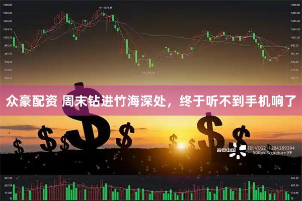 众豪配资 周末钻进竹海深处，终于听不到手机响了