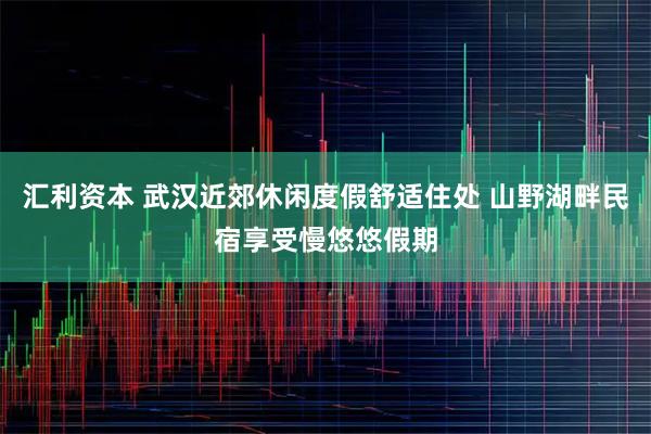 汇利资本 武汉近郊休闲度假舒适住处 山野湖畔民宿享受慢悠悠假期